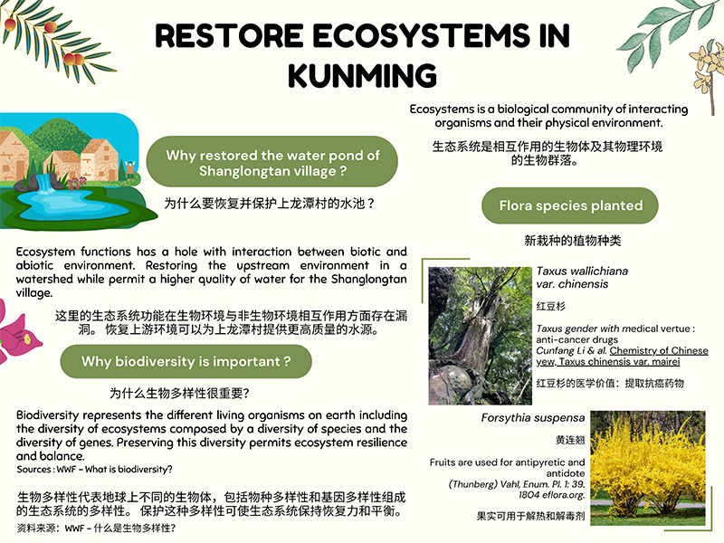 Restore Ecosystems in Kunming (photo)