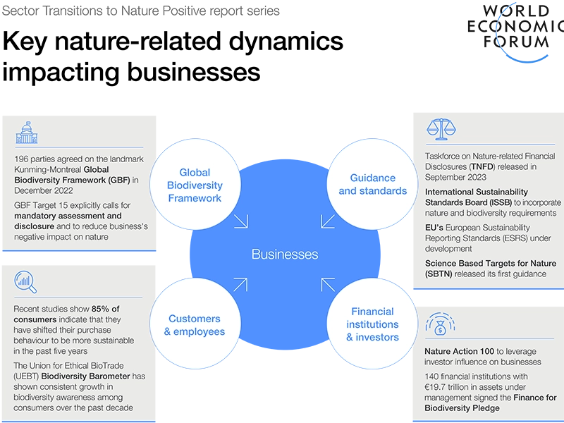 Key nature related dynamics impacting businesses (photo)