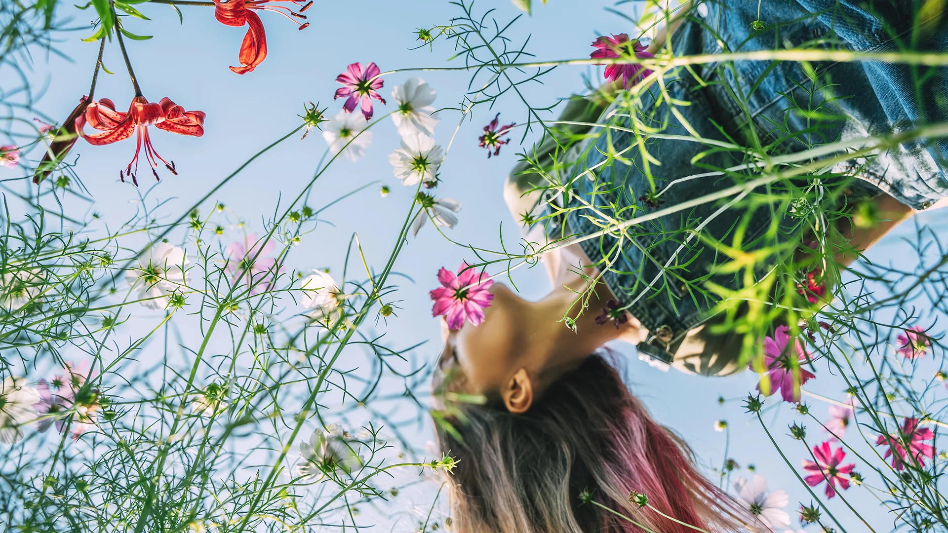 Woman in a flower field (photo)