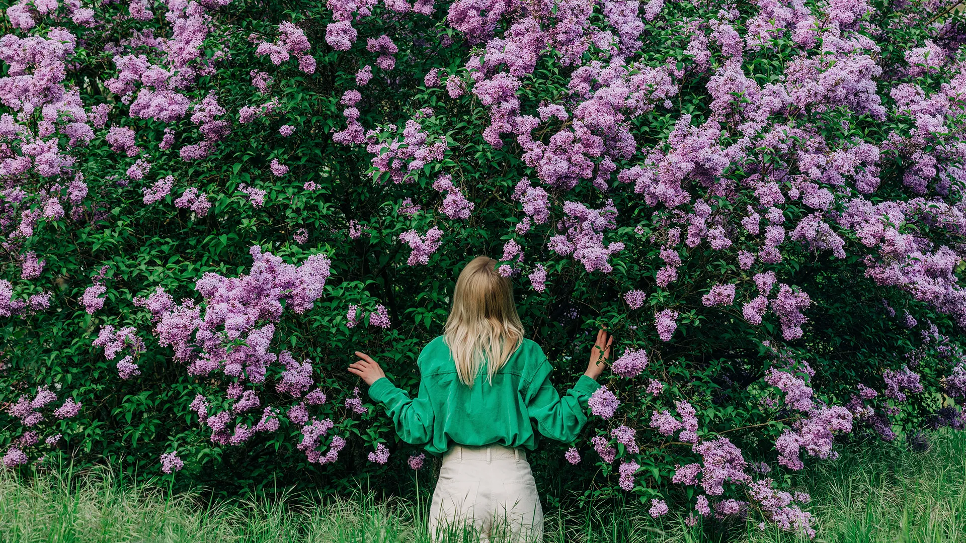 A young woman facing a bush full of pink flowers (photo)