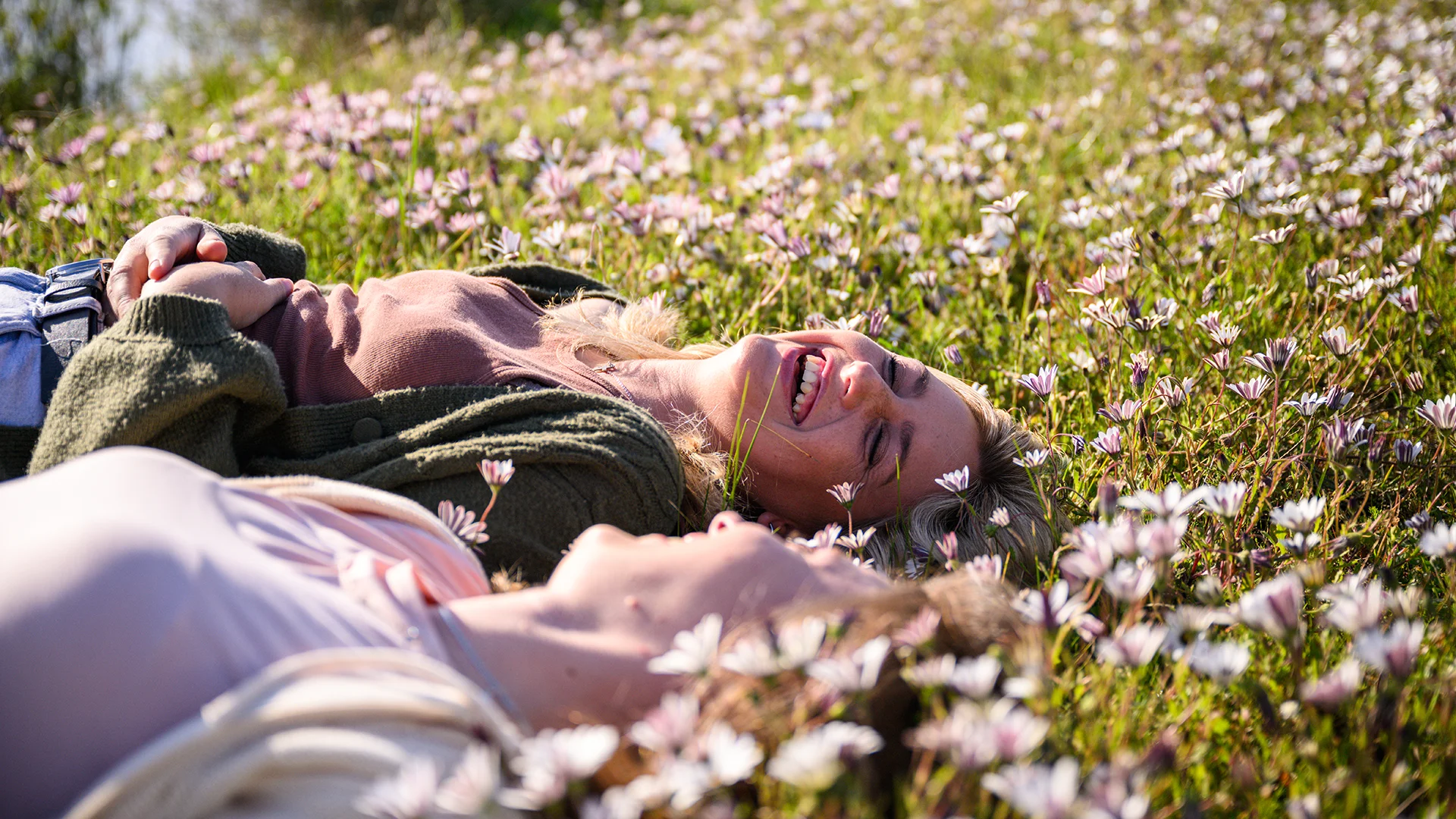 Women laying in a flowerfield laughing (photo)