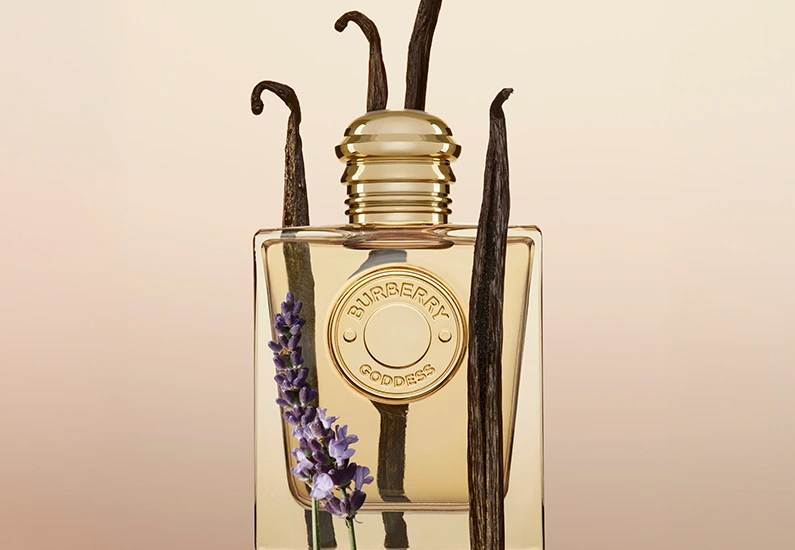 Gold perfume bottle with vanilla pods (photo)