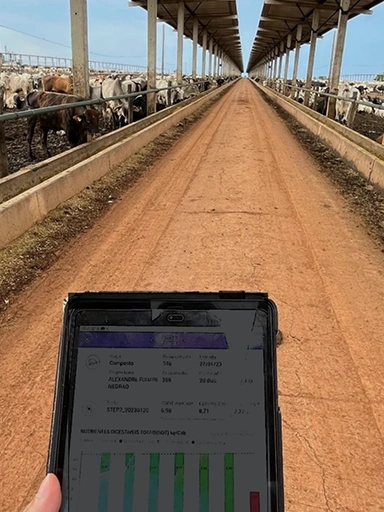 A person holding a tablet walking through a cattle farm (photo)