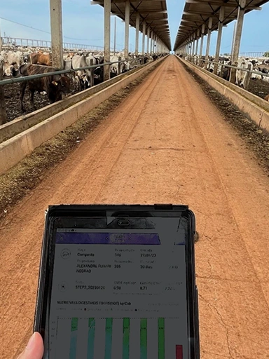 A person holding a tablet walking through a cattle farm (photo)