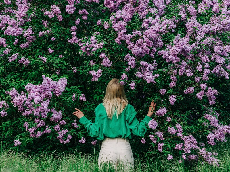 A young woman facing a bush full of pink flowers (photo)