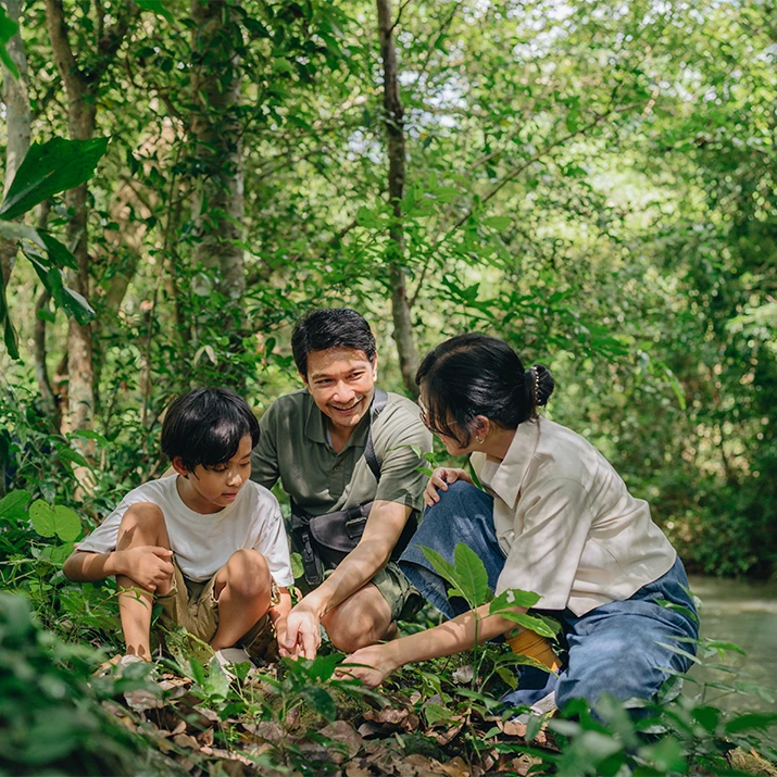 Family exploring plants together in a green forest. (photo)