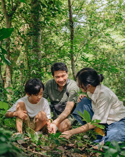 Family exploring plants together in a green forest. (photo)